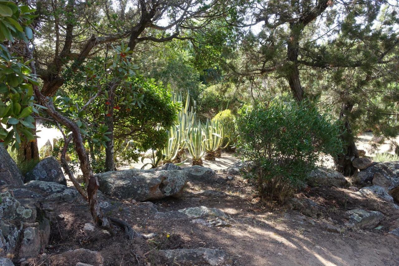 הוילה פורטו-וישיו Domaine De La Punta מראה חיצוני תמונה